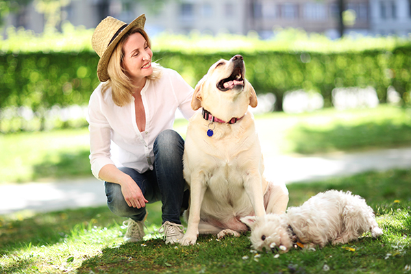 Woman with pet dogs